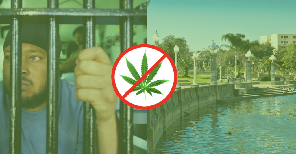 lakeland cannabis arrests